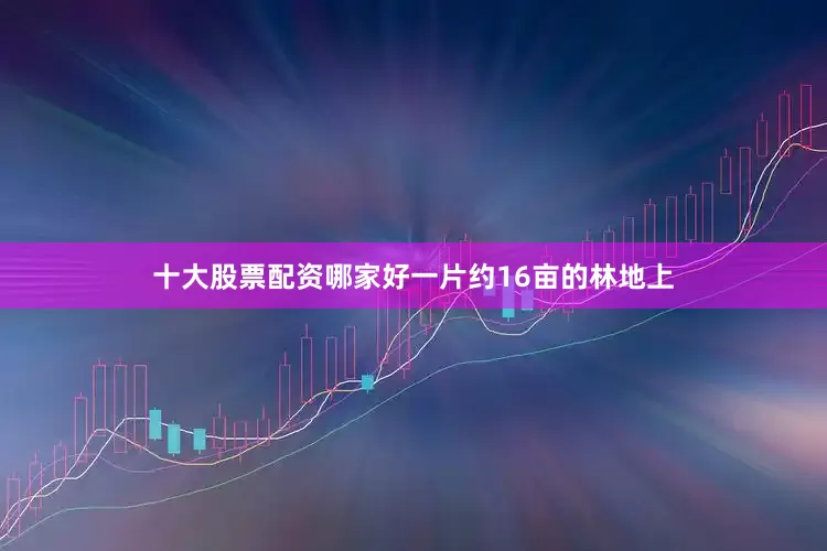十大股票配资哪家好一片约16亩的林地上