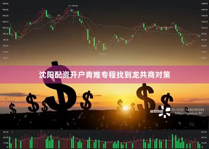 沈阳配资开户青雉专程找到龙共商对策